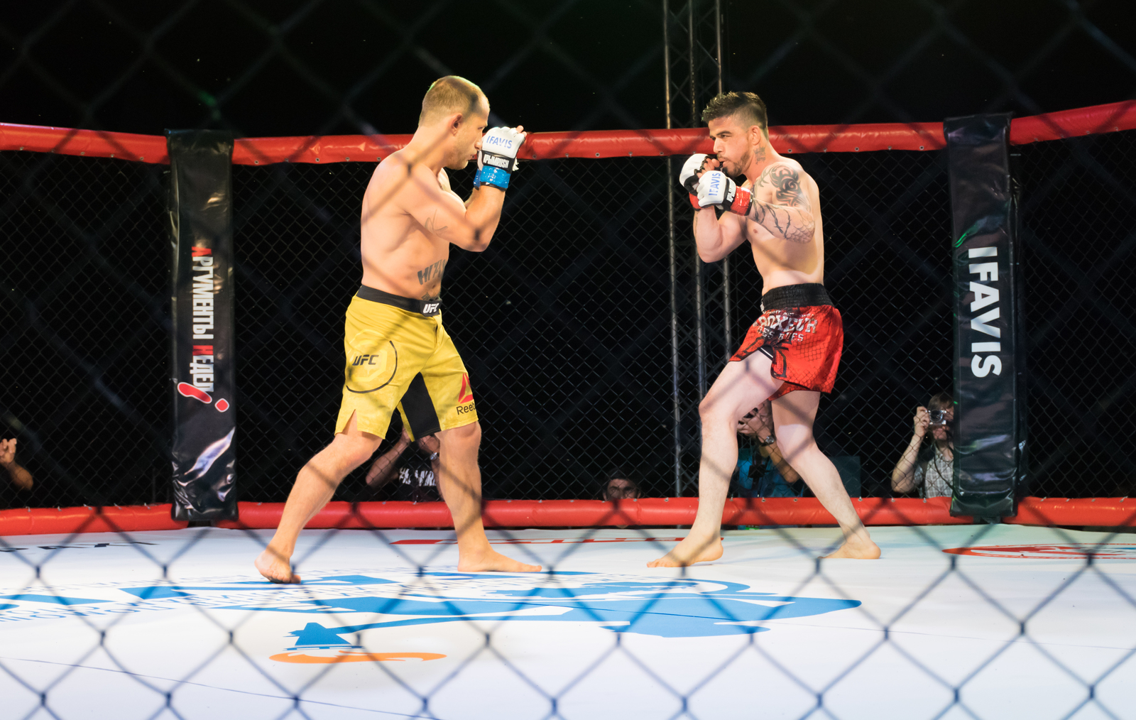 MMA - My, Beginning photographer, The photo, Photographer, Reportage, Sport, , MMA, Yalta, Longpost