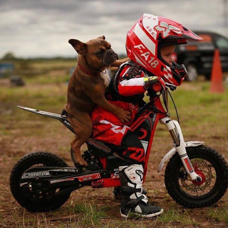 Friendship - Motocross, Dog, Friends, The photo