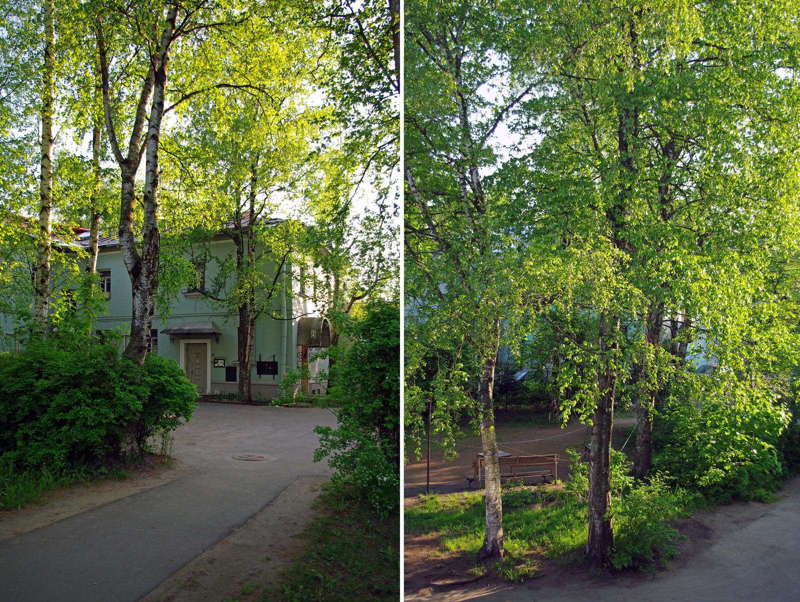 An area surrounded by greenery. - My, The photo, Saint Petersburg, Black River, Cityscapes, Courtyard, Evening, Summer, Cosiness, Longpost, Street photography