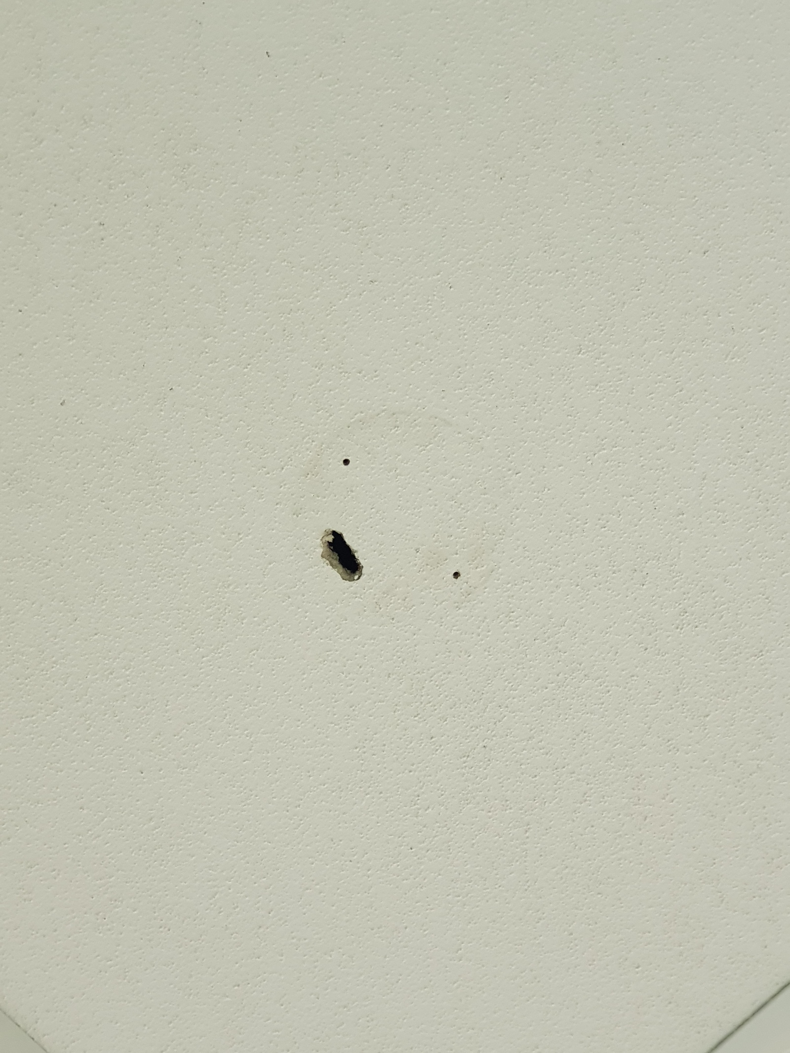 This office ceiling has seen some shit.. - My, Office, Smile, Humor, The photo, Longpost