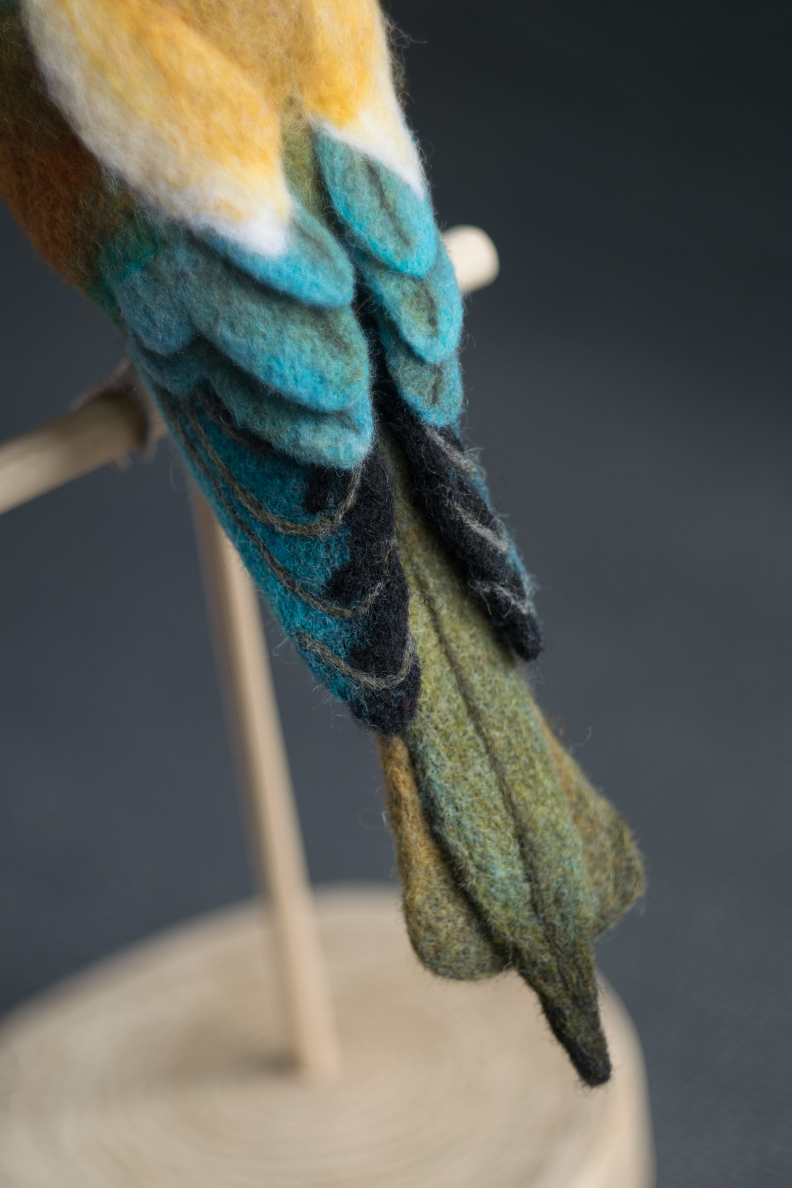 Felted bee-eater. With a brief description of the creation process - My, Needlework with process, Dry felting, Szczurka, , Wallow, Longpost