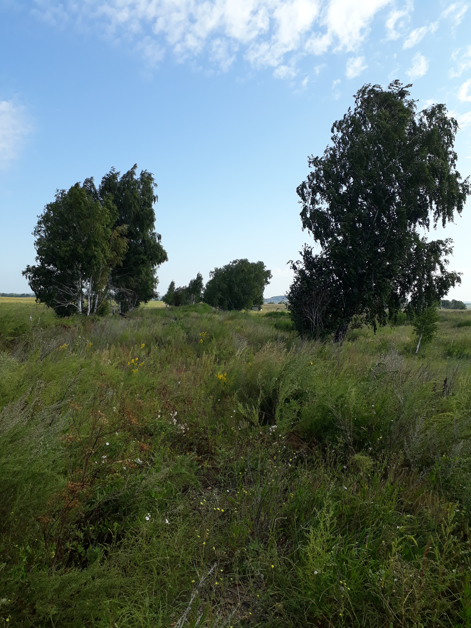 Railway Tayanda - Yemanzhelinsk - Korkino, which does not exist - My, , Railway, Station, Emanzhelinsk, Korkino, , Longpost