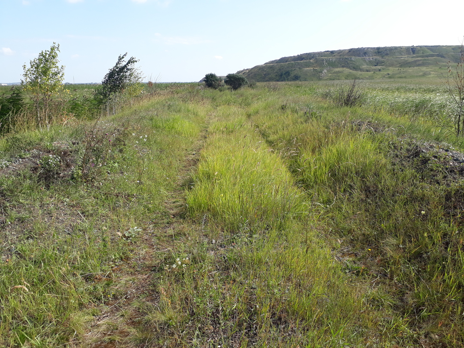 Railway Tayanda - Yemanzhelinsk - Korkino, which does not exist - My, , Railway, Station, Emanzhelinsk, Korkino, , Longpost