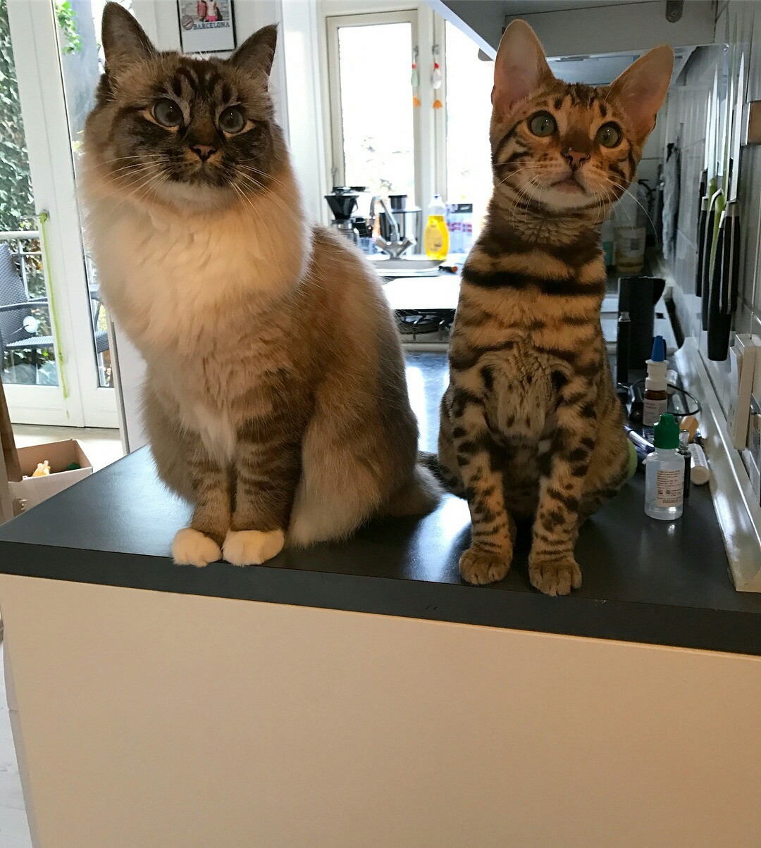 podborka-domashnie-foto-porno-s-zhenami-na-prirode