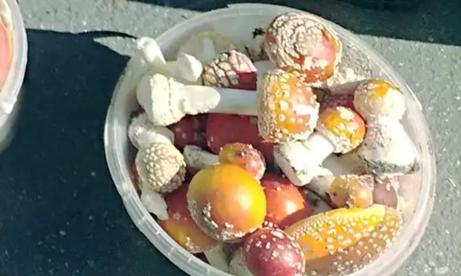 Amanitas are sold in Kurgan - Fly agaric, Business