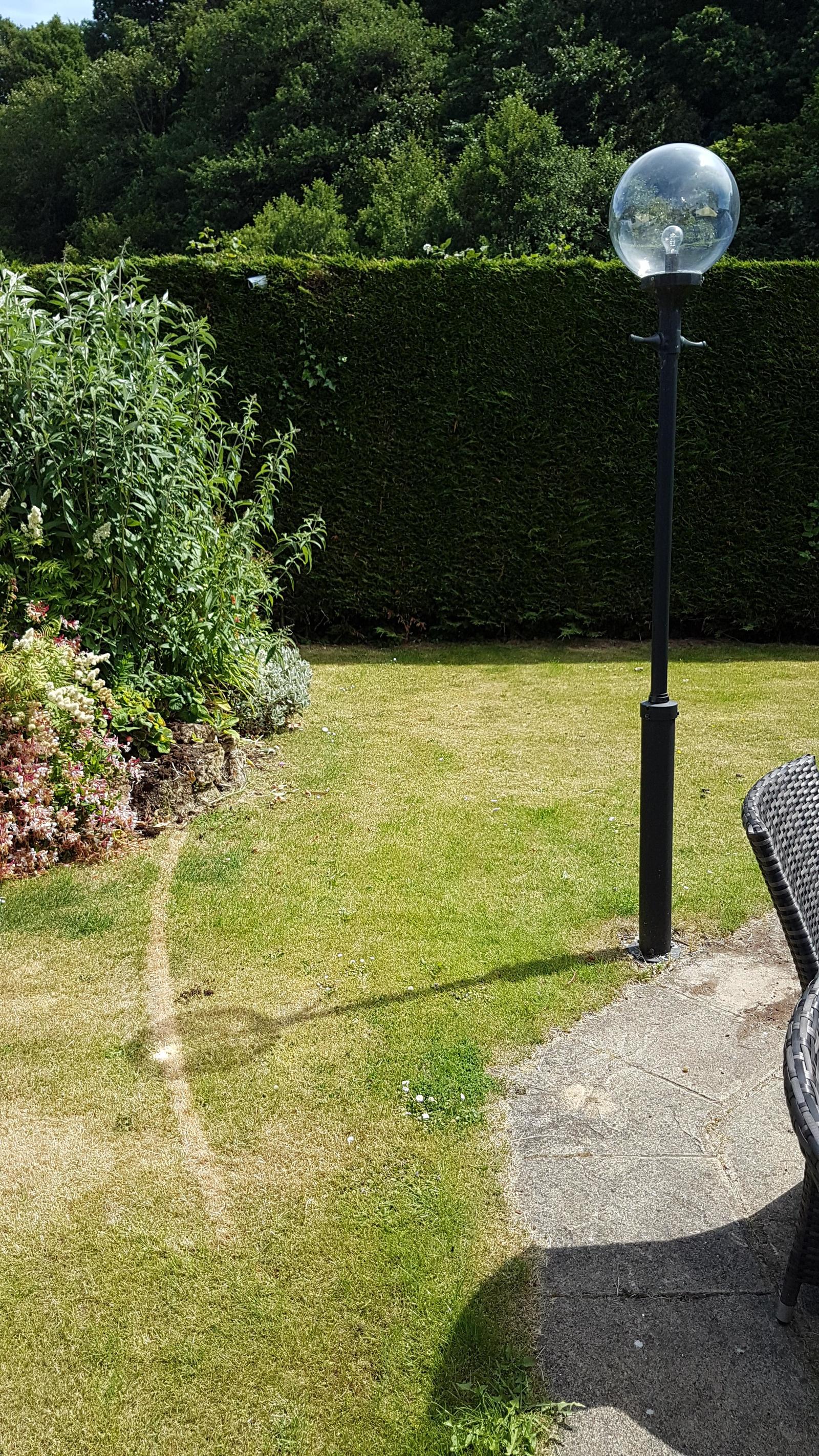 lens and grass - Lenses, Grass, The sun, Sundial