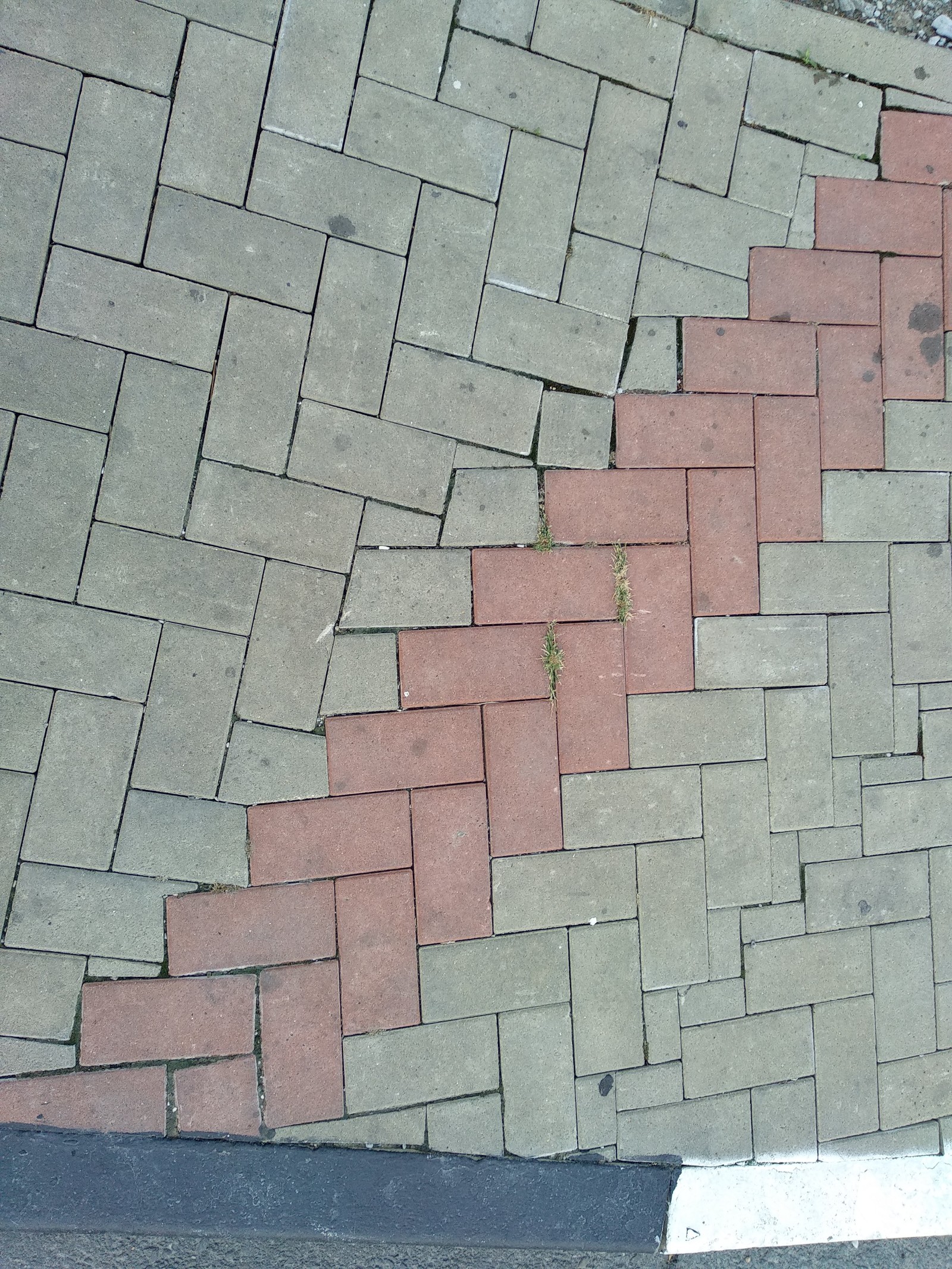 Polygonal *masonry* for taxpayers in Gelendzhik. 21+ - Paving stones, Nanotechnology, Longpost