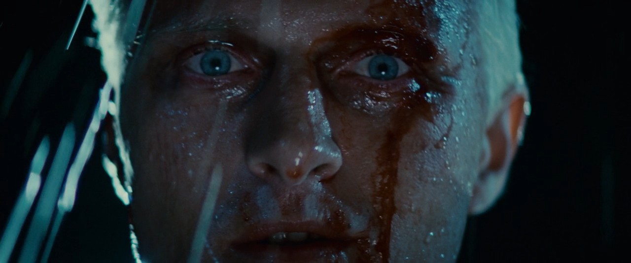 Blade Runner (1982) US - My, Fantasy, Science fiction, Blade runner, Philip Dick, Ridley Scott, Movie review, Longpost