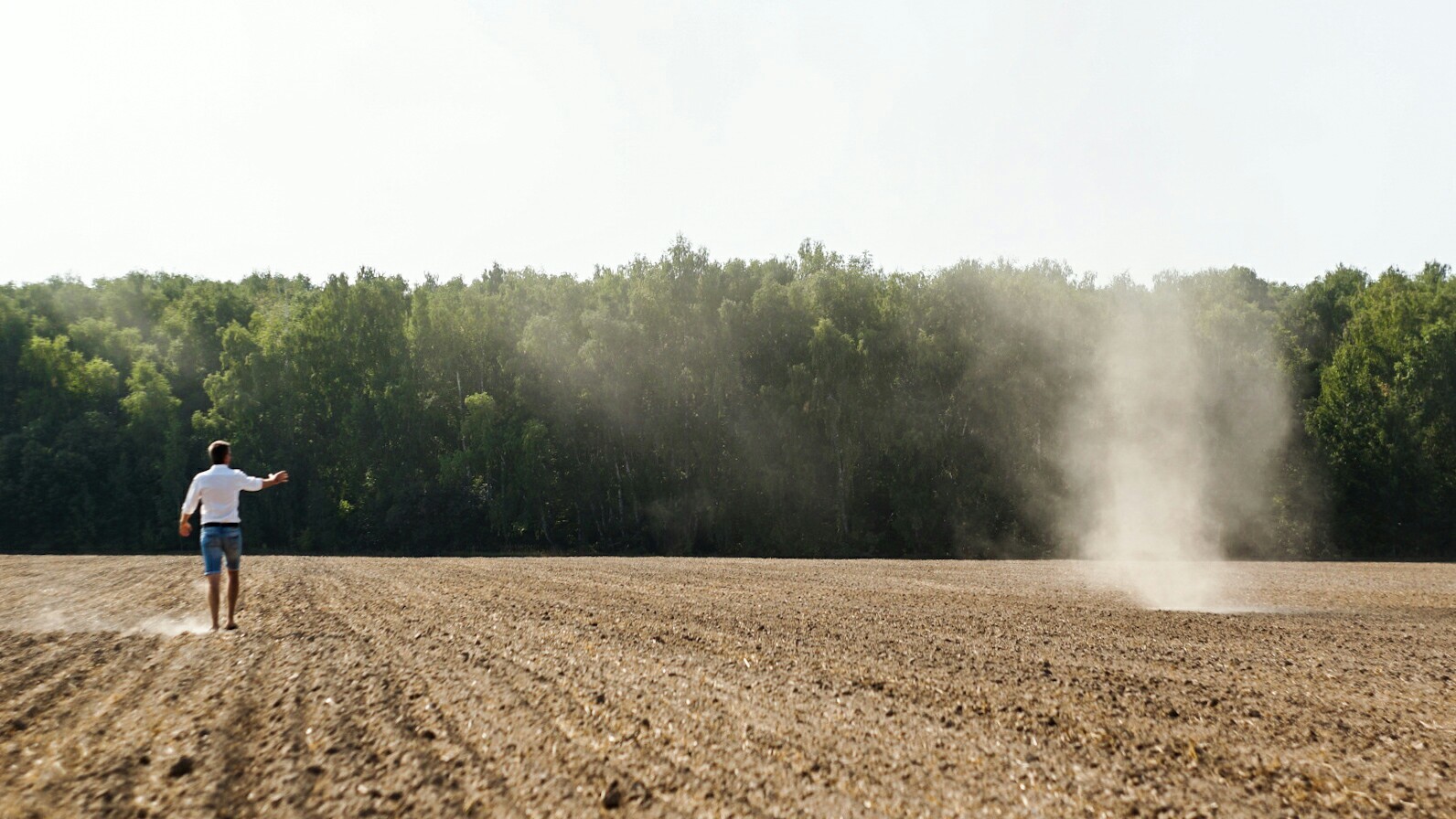 Whirlwinds - My, Vortex, Tornado, The photo, Ryazan, Nature