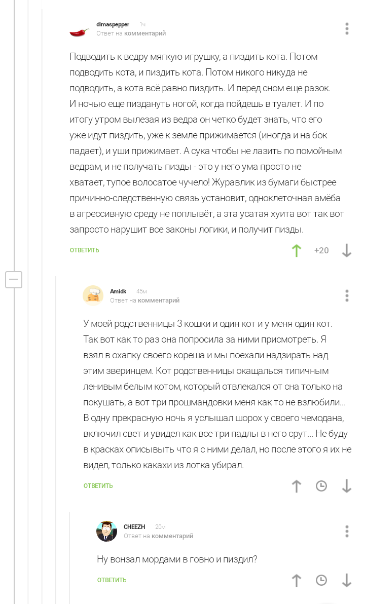 Про дрессировку - Комментарии, Комментарии на Пикабу, Дрессировка, Кот