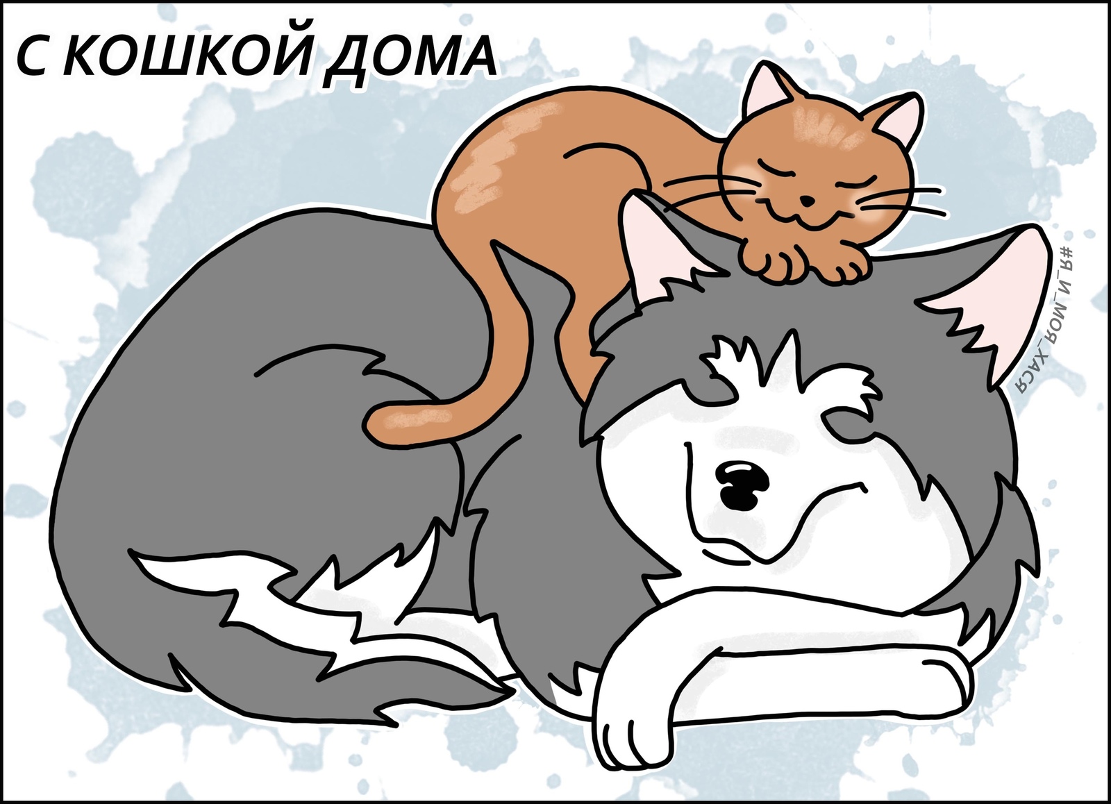 Dogs and cats - My, Me and my hasya, Siberian Husky, Husky, Dog lovers, Longpost, Dog