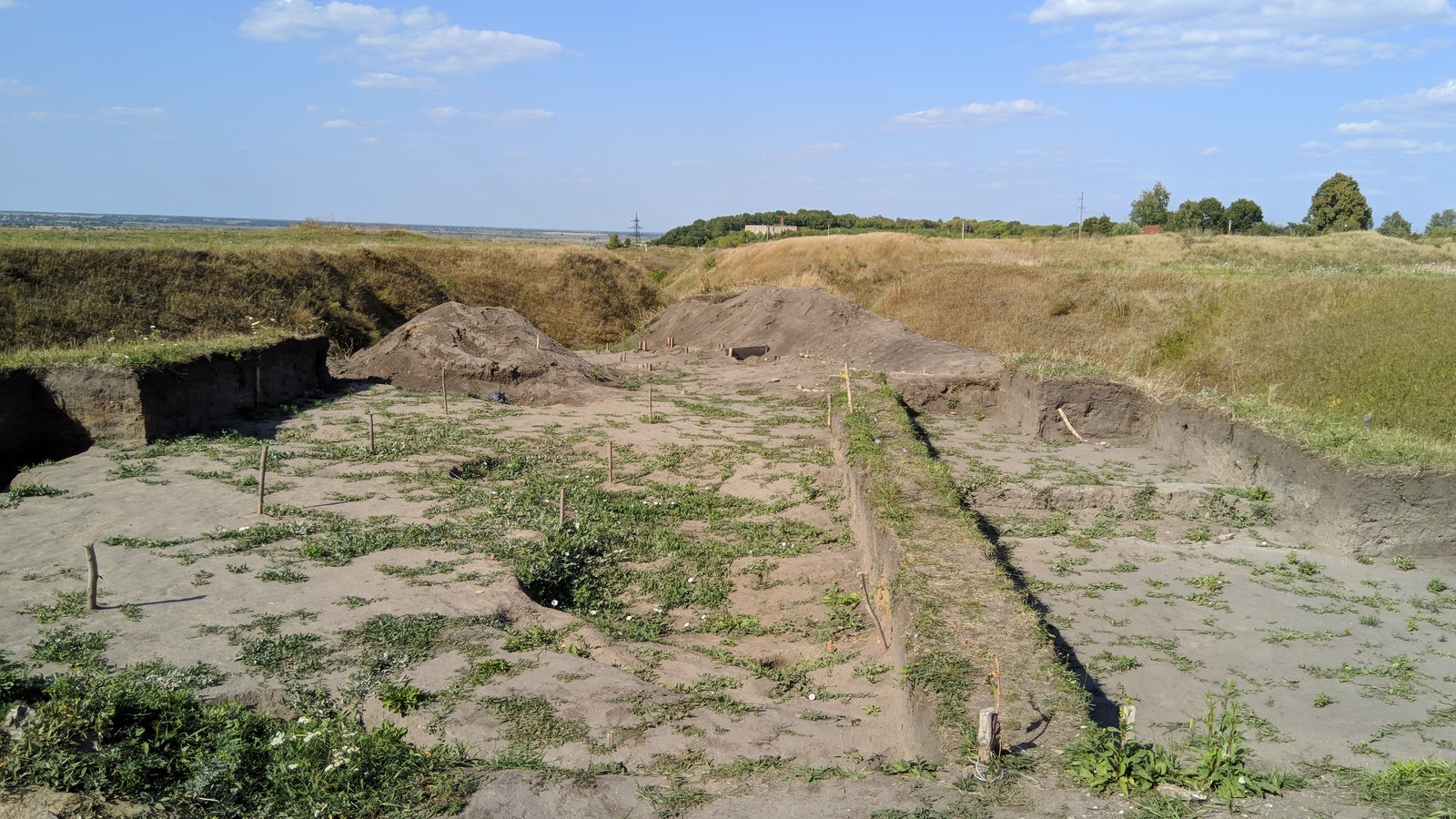 Раскопки в городище Старая Рязань - Моё, Археологи, Раскопки, Останки, Кости, Городище Старая Рязань, Без рейтинга, Длиннопост