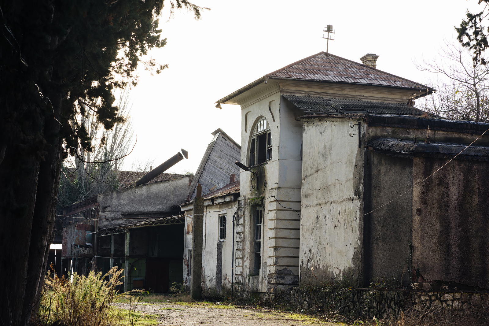 Journey through Abkhazia (part 2) - My, Abkhazia, , Ritsa, , Lake Ritsa, Malaya Ritsa, Tourism, Travels, Longpost