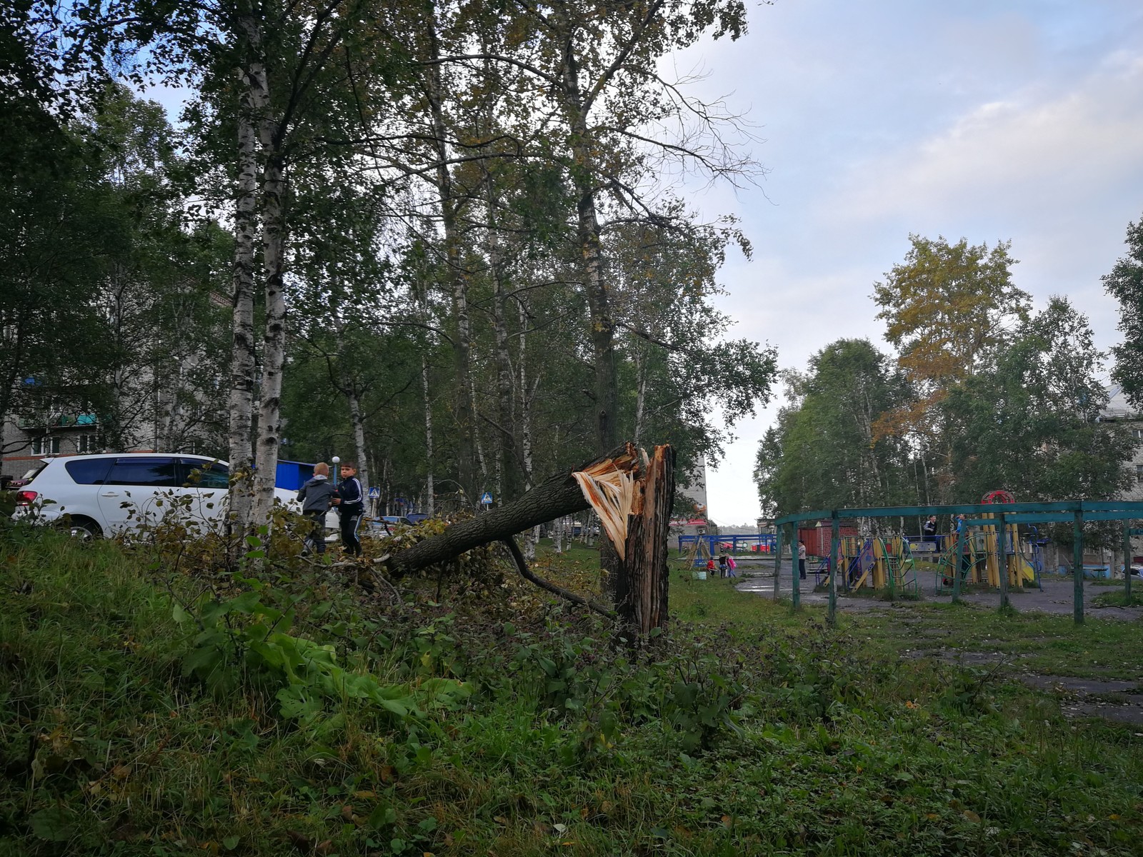 Aftermath of Hurricane Joby. - Hurricane, Consequences, Weather, Khabarovsk region, Vanino, Sovetskaya Gavan, Longpost