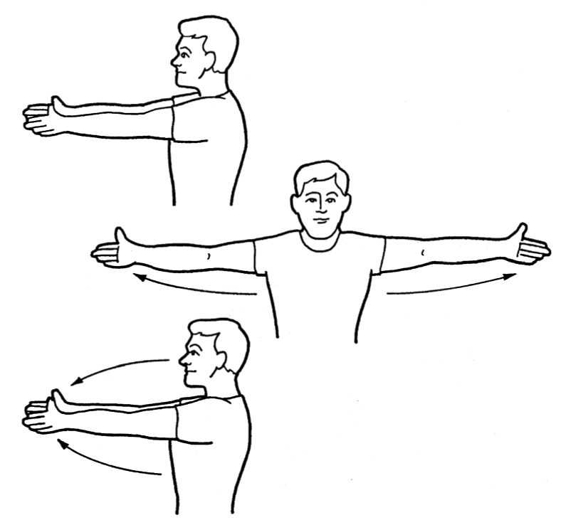Упражнение для правой руки. Сведение рук перед собой разминка. Руки в стороны. Вытянутые руки в стороны. Руки вперед упражнение.