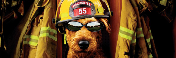 5 best films about firefighters - My, Rescuers, Firefighters, A selection, Movies, Dog, Reverse thrust, , , Longpost