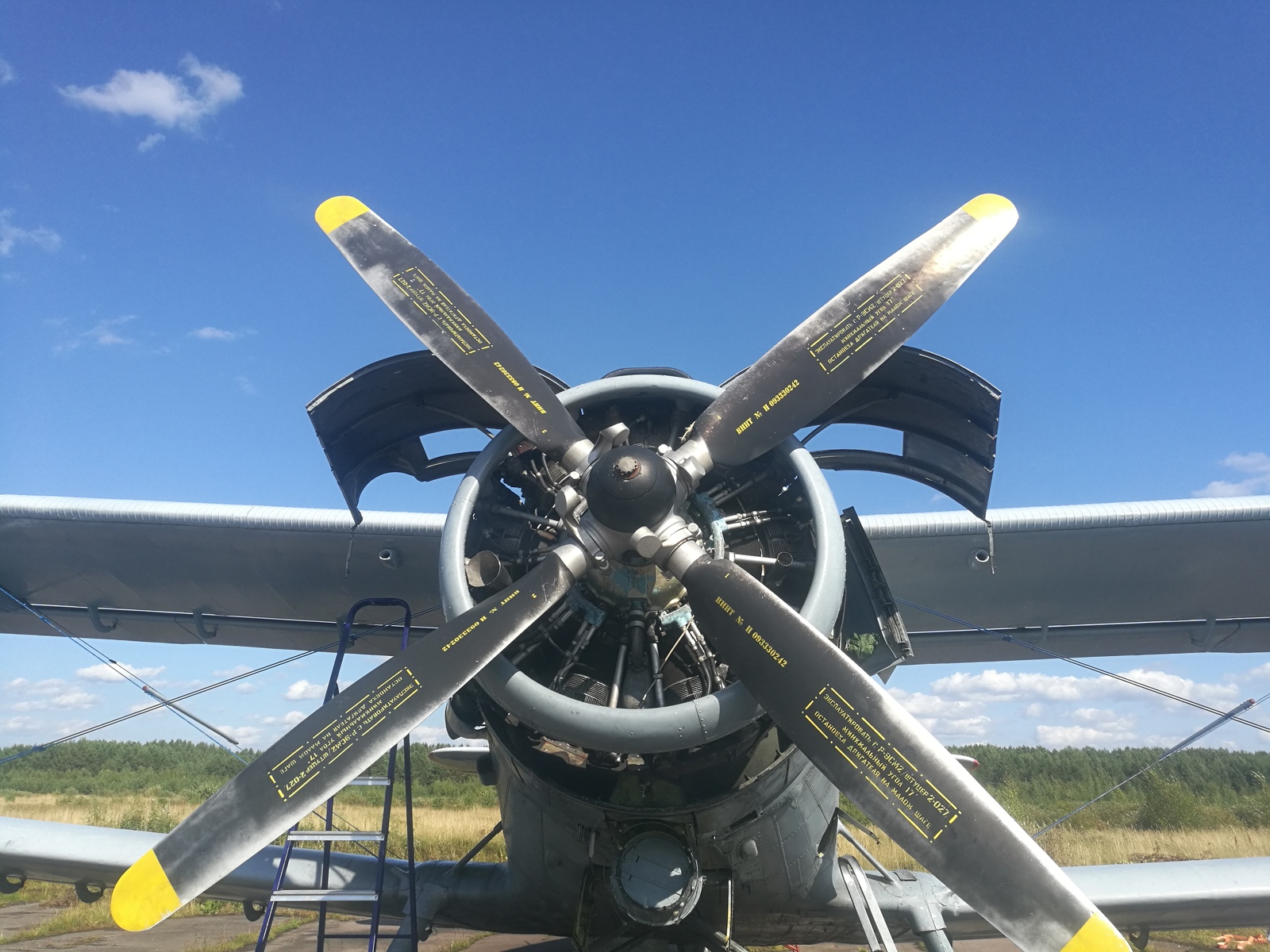 Ан-2.  Скромное ТО. Меняем масло и еще чуть чуть. - Моё, Ан-2, Техническое обслуживание, Авиация, Длиннопост, Ремонт техники