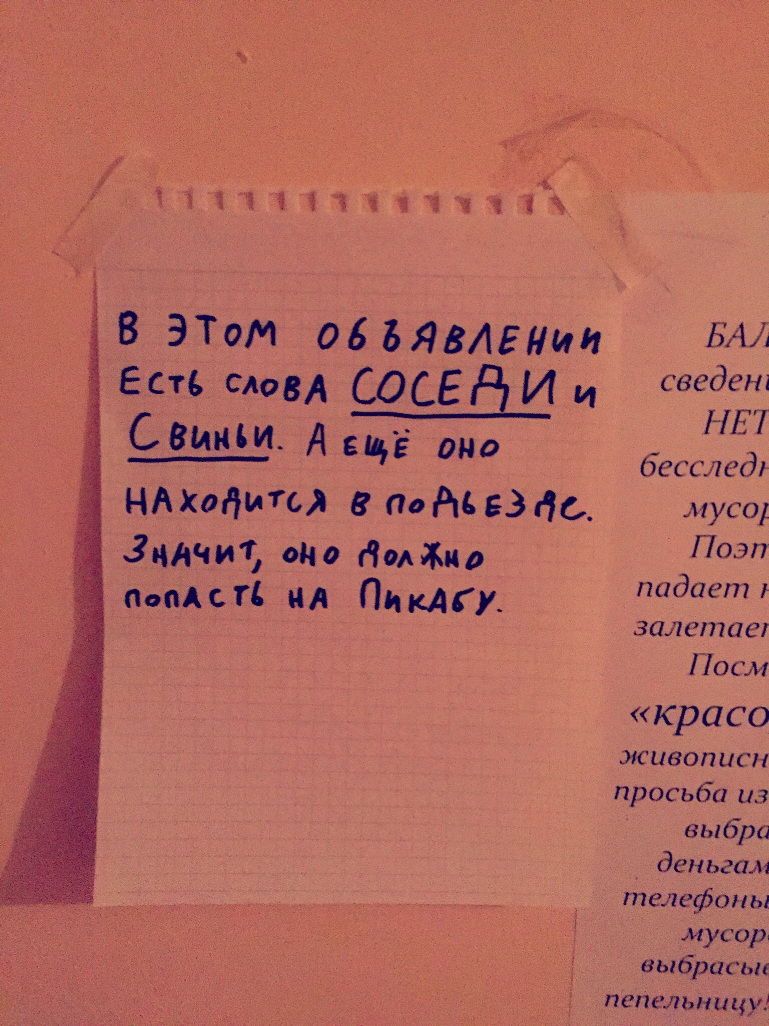 Объявление в подъезде | Пикабу