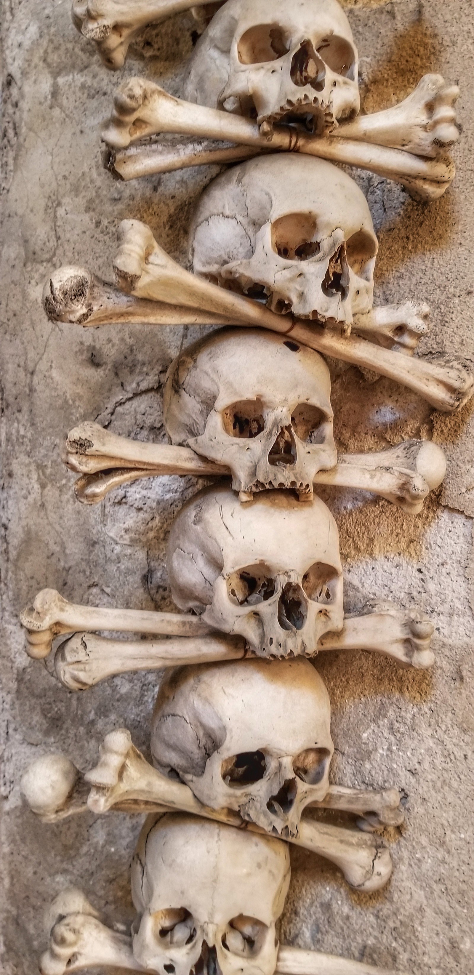 Ossuary of Kutna Hora. Czech - My, Czech, Prague, Kutna Hora, Ossuary, Longpost