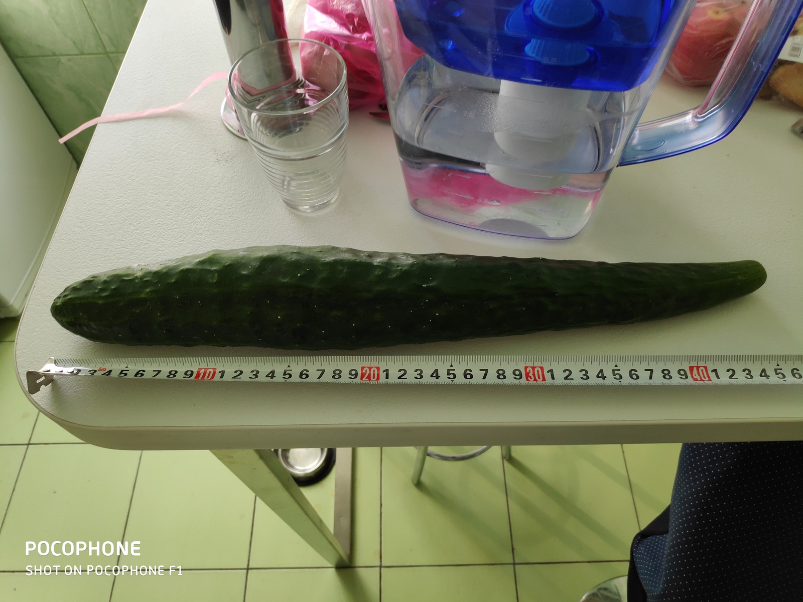 Cucumber of the average pikabushnik. - The photo, , Vegetables