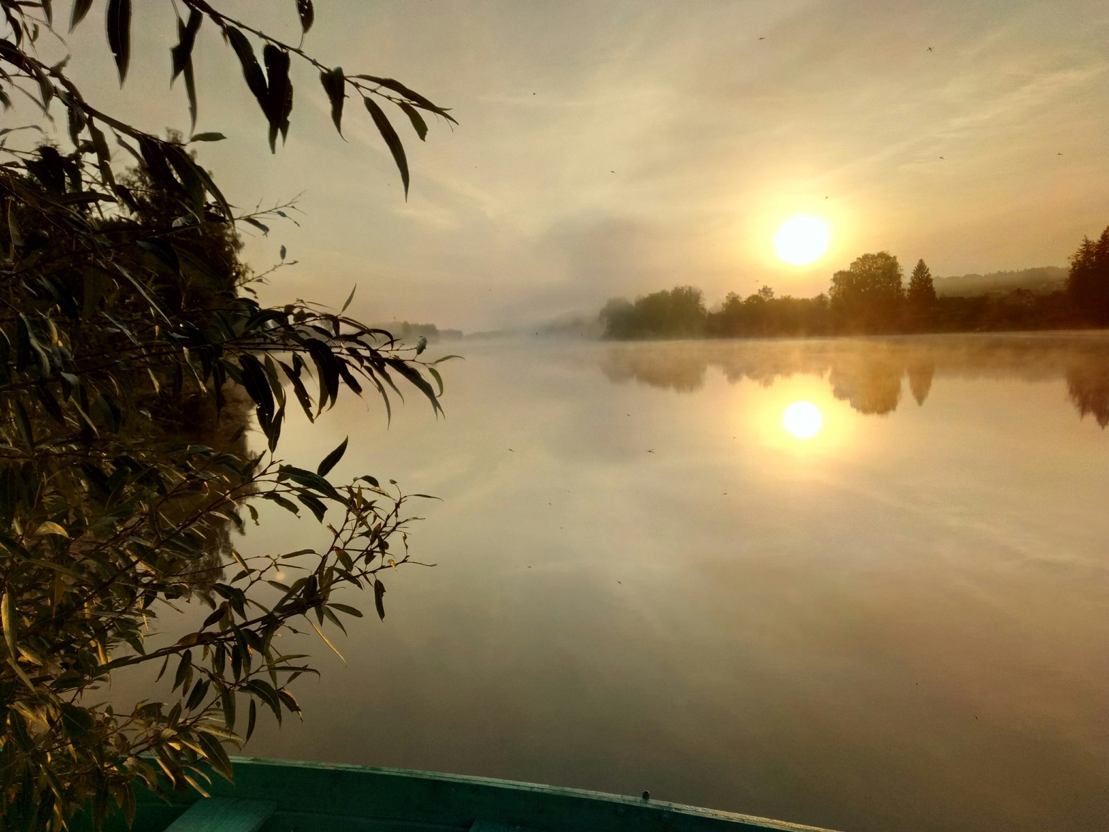 R. Zapadnaya Dvina, near Vitebsk, Belarus - My, River, Morning, My