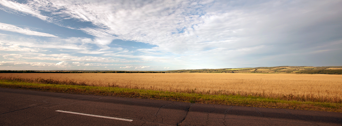 Autumn roads... - My, The photo, Панорама, Autumn, Field, Road