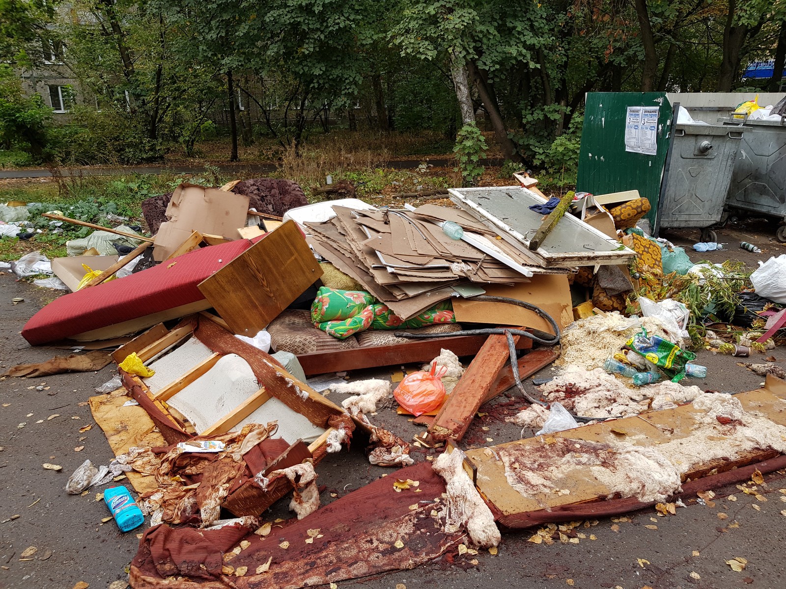 Pushkino near Moscow is buried in garbage - My, Garbage, Подмосковье, Pushkino, Problem, Disgusting, Inaction of the authorities, Trash heap, Longpost