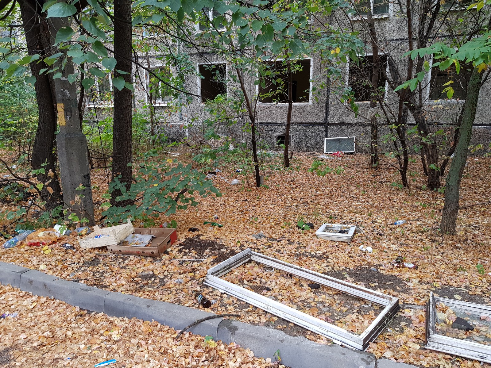 Pushkino near Moscow is buried in garbage - My, Garbage, Подмосковье, Pushkino, Problem, Disgusting, Inaction of the authorities, Trash heap, Longpost