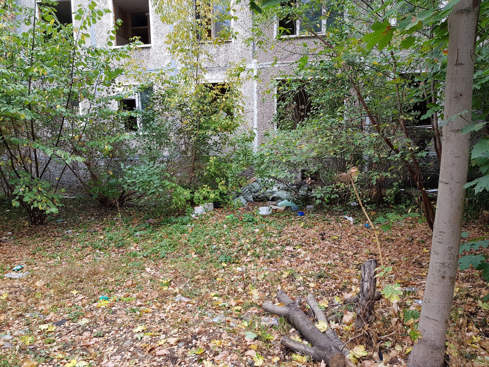 Pushkino near Moscow is buried in garbage - My, Garbage, Подмосковье, Pushkino, Problem, Disgusting, Inaction of the authorities, Trash heap, Longpost