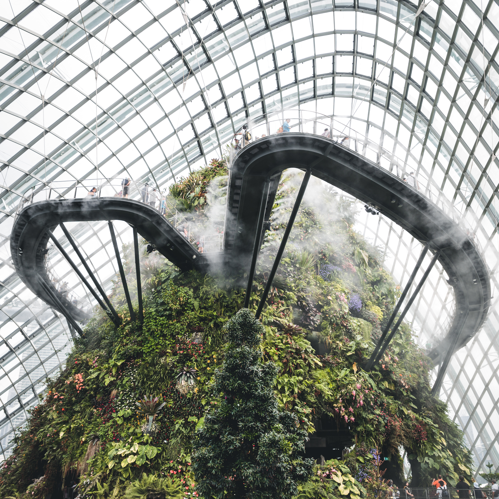 Singapore, Cloud Forest - My, Singapore, Asia, Garden, Clouds, Architecture, Travels, The photo