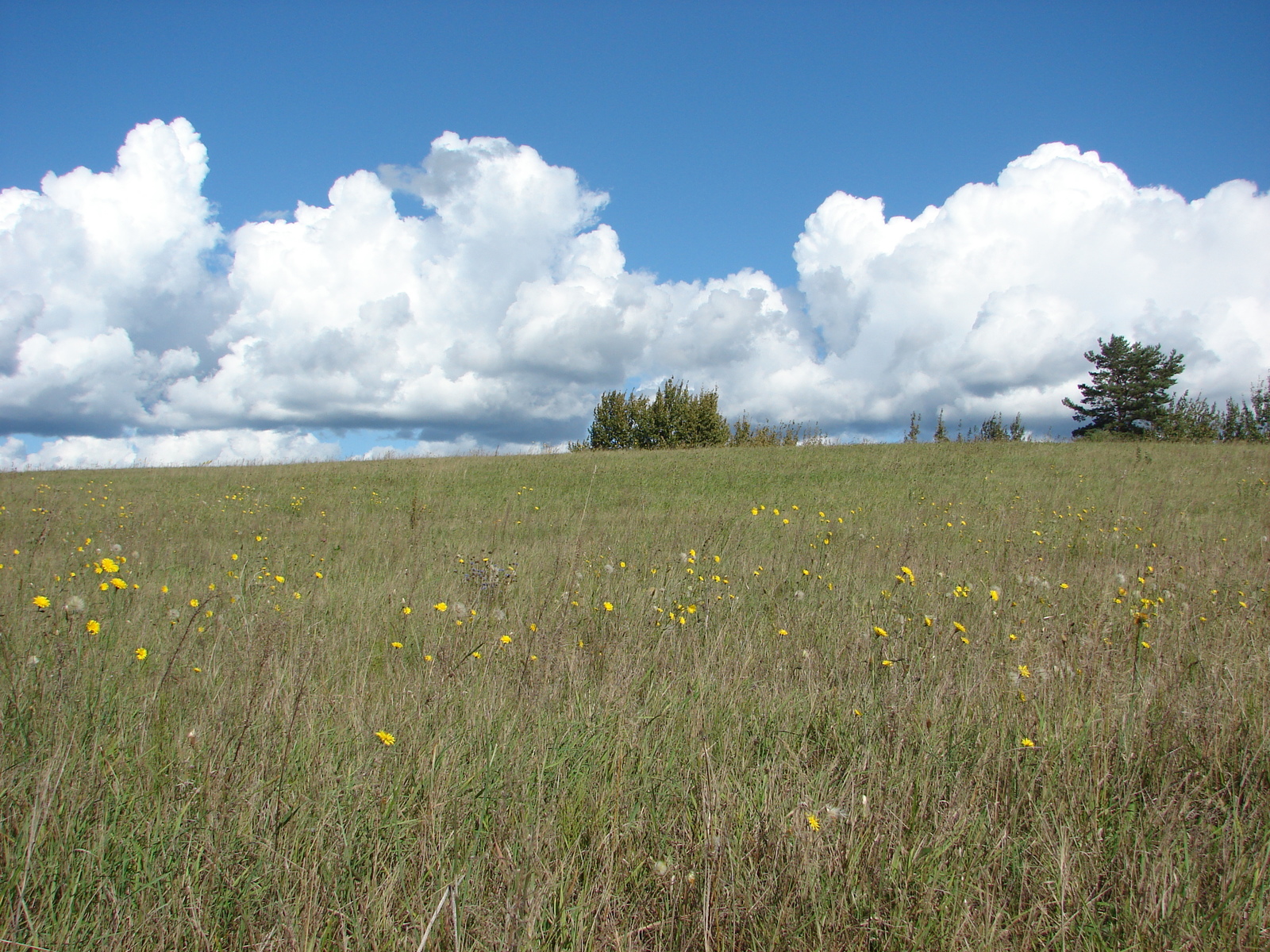 Sunny days of autumn - My, Hike, Nature, Autumn, Longpost