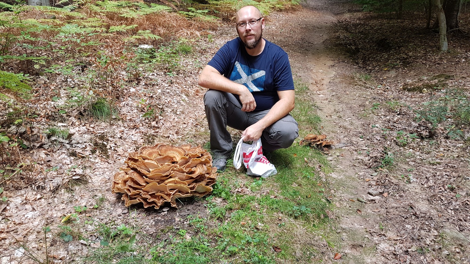 Mushrooms. - Mushrooms, Nature, Mushroom pickers, Idleness