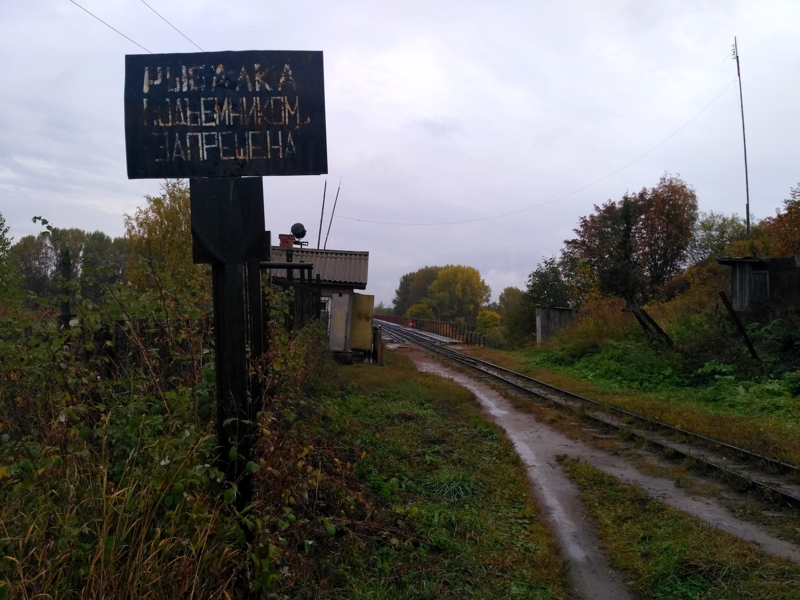 Каринская узкоколейная дорога. Единственная из немногих. Длиннопост. |  Пикабу