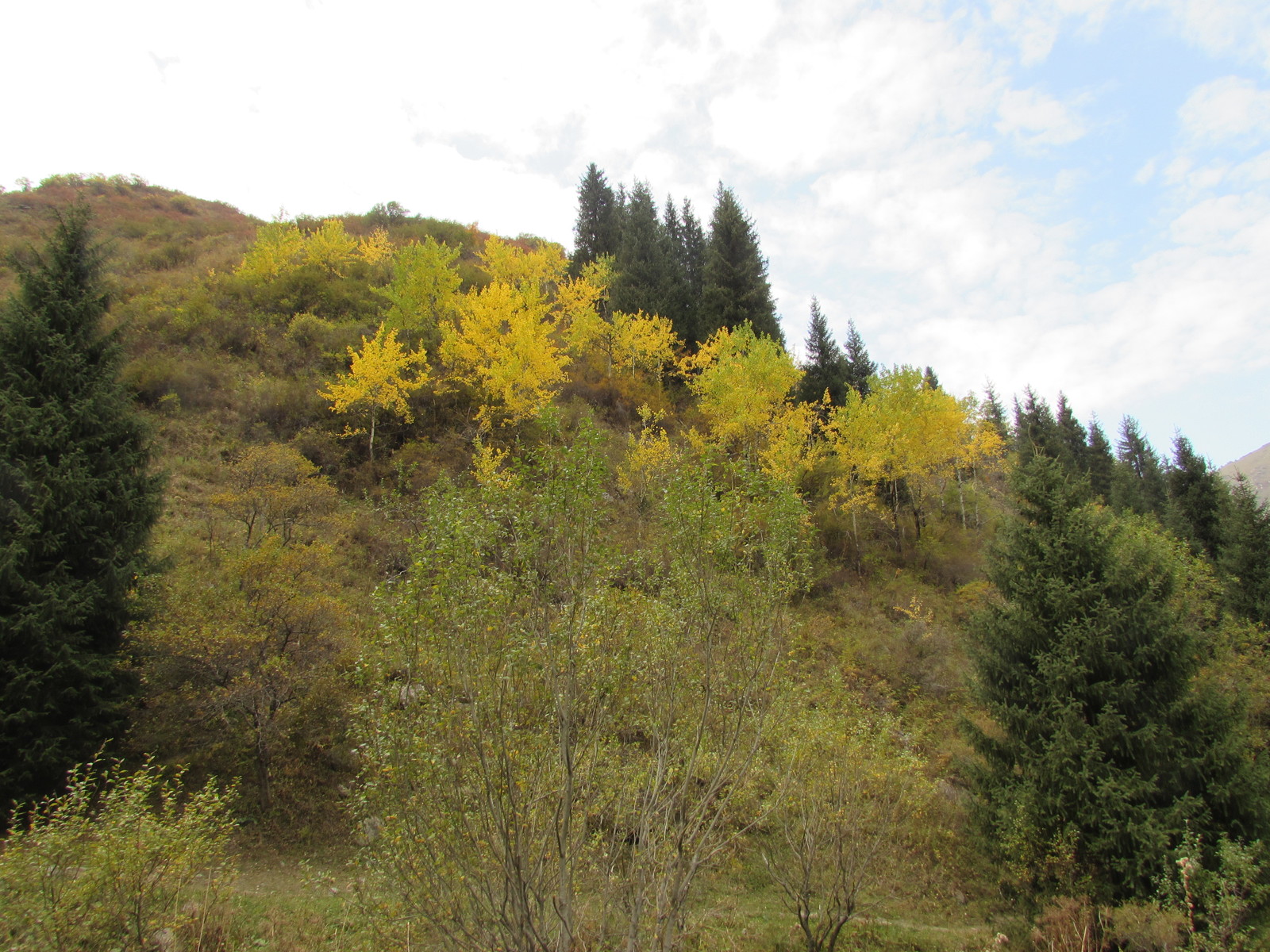 Big Almaty Lake - My, Big Almaty Lake, , , Longpost