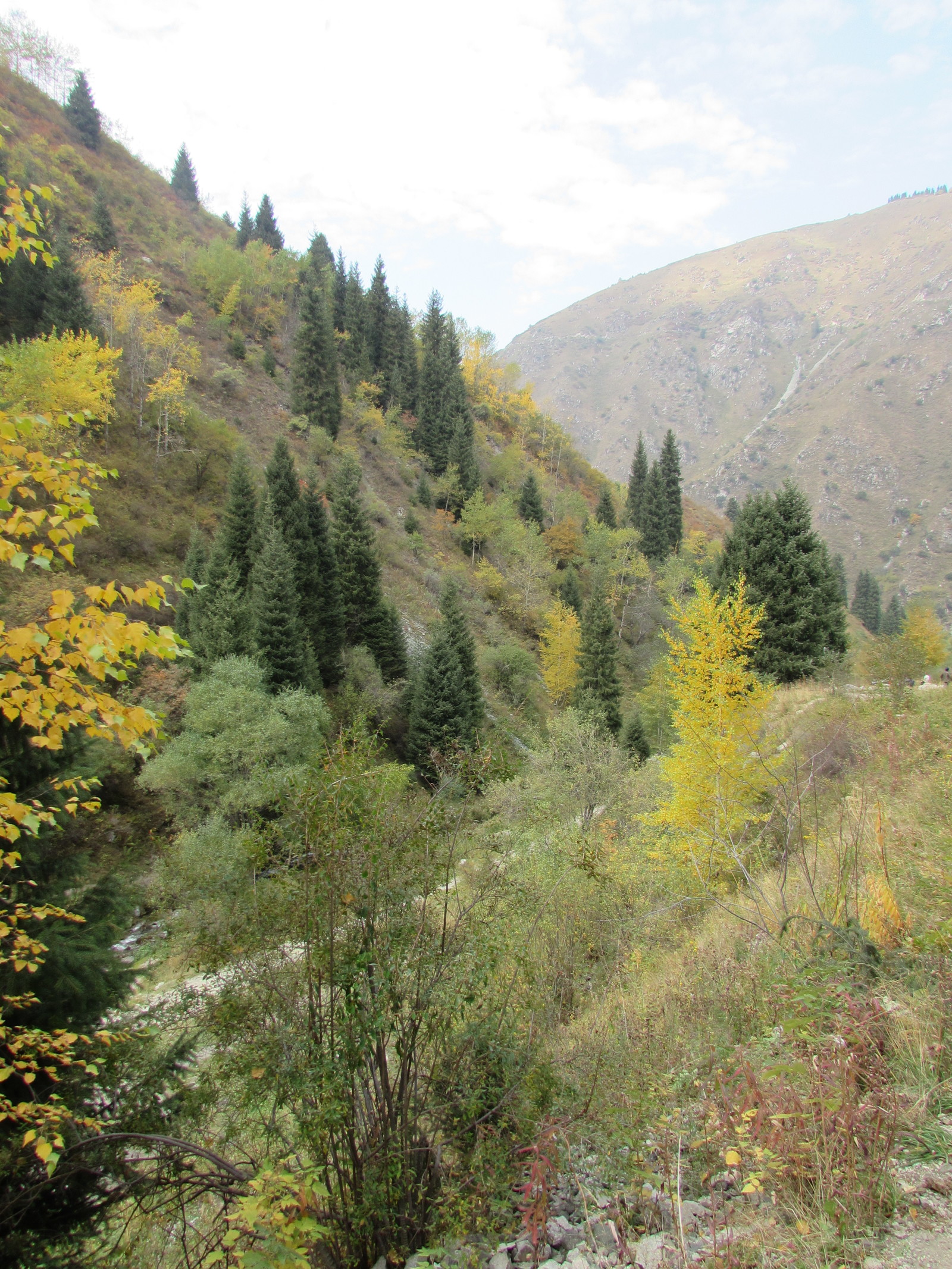 Big Almaty Lake - My, Big Almaty Lake, , , Longpost