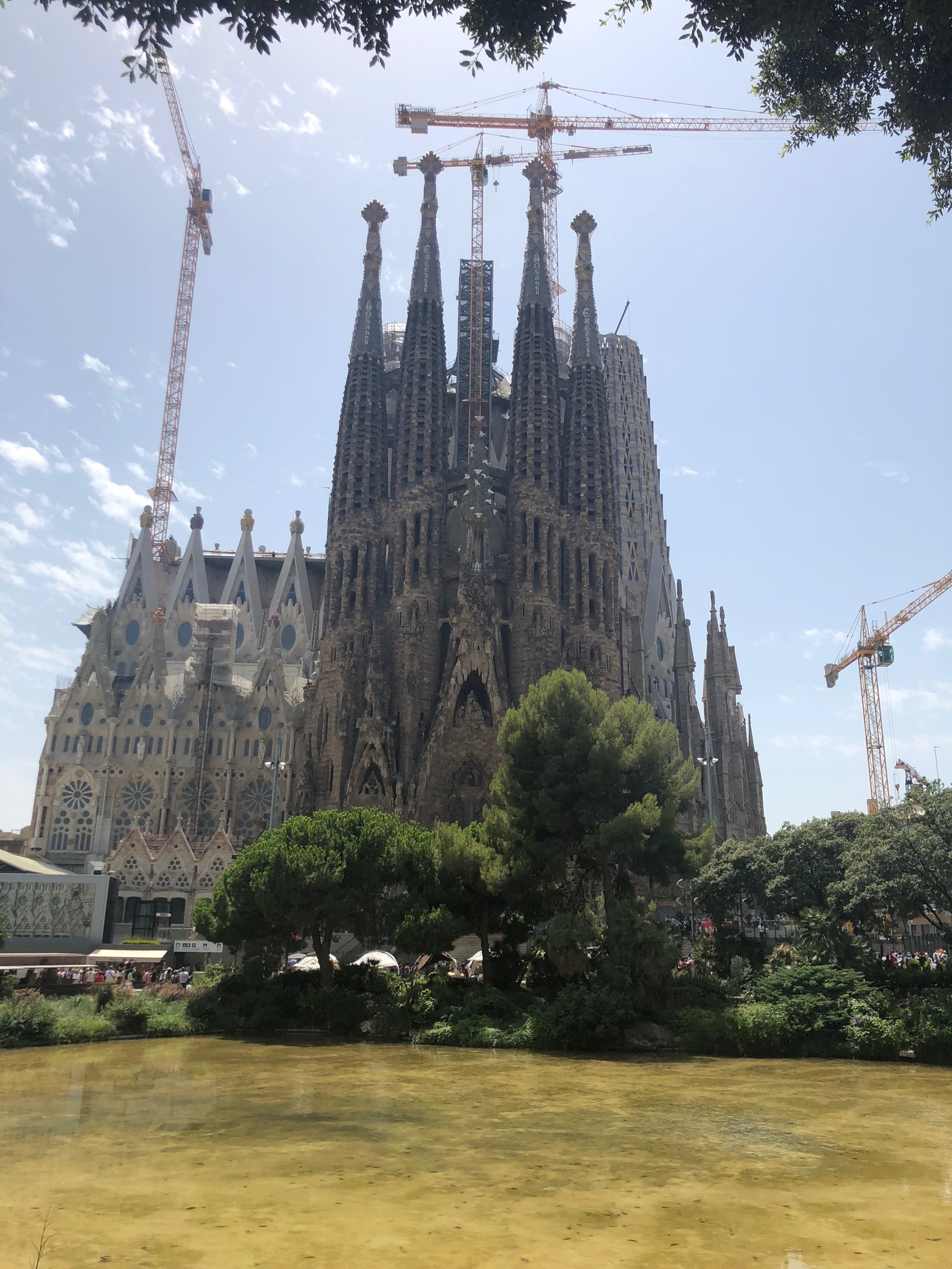 Barcelona, Spain Basilica de la Sagrada Familia - Моё, Barcelona, Испания, Красота, Саграда-Фамилия, Барселона, Городская природа, Sagrada Familia, La Sagrada Famlia, Саграда Фамилия, Природа