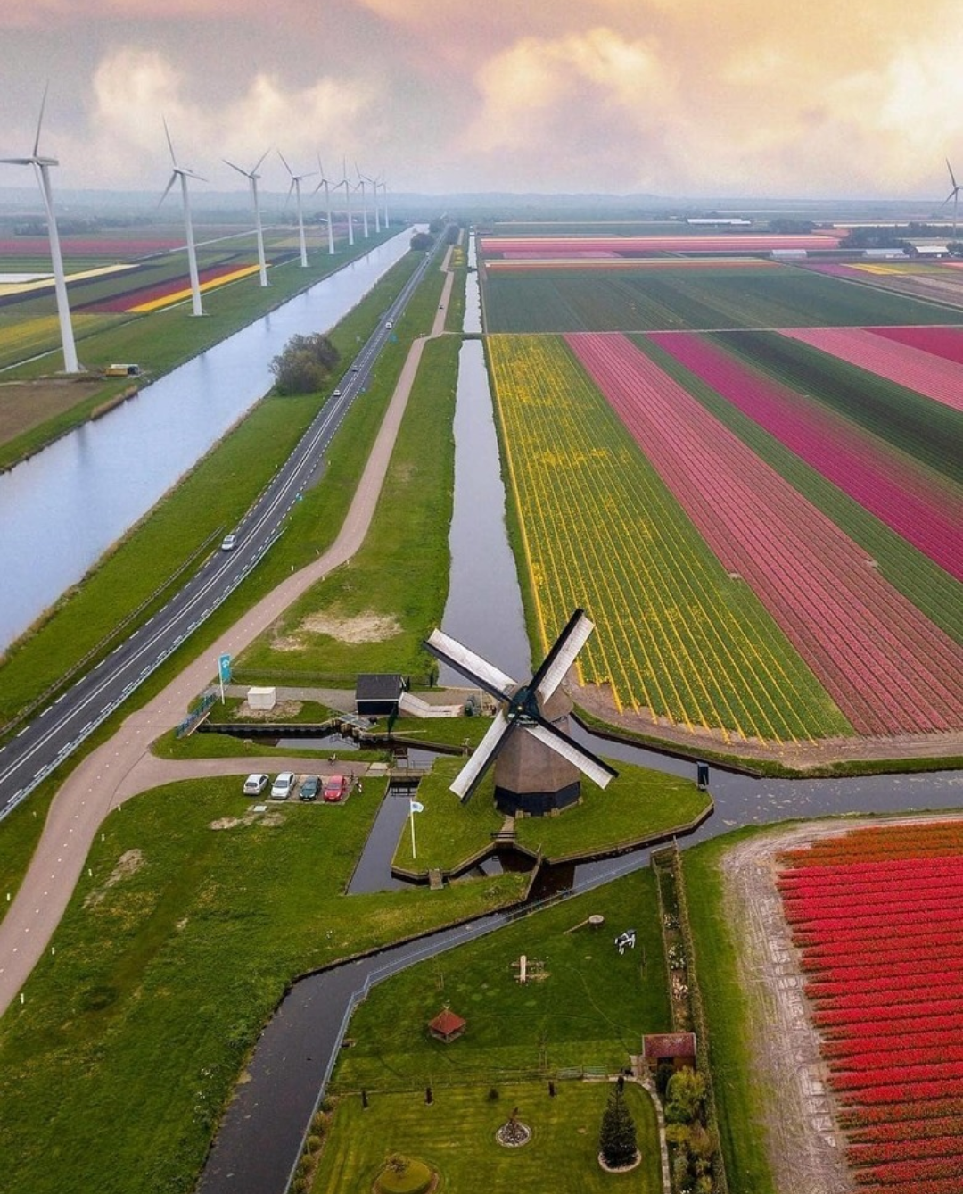 Old and new - Mill, Wind generator, Field, Flowers