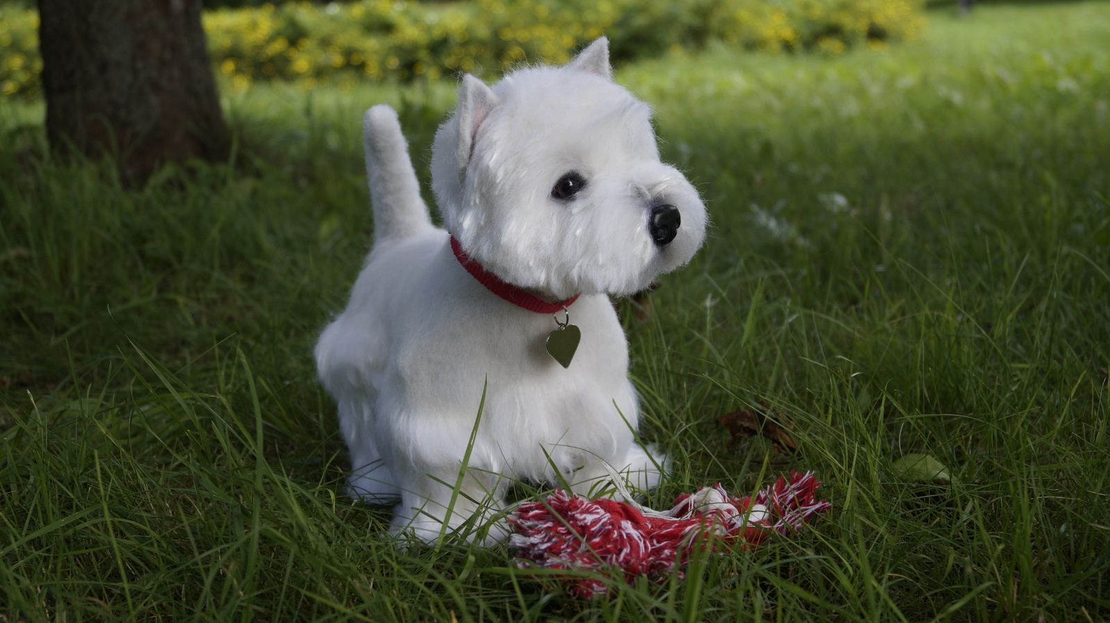 This is me and my job. Vestik, dry felting.Author: Maria Sherstobitova. - My, With your own hands, Dry felting, Dog, Dogs and people, Toys, Handmade, Wallow, Handmade