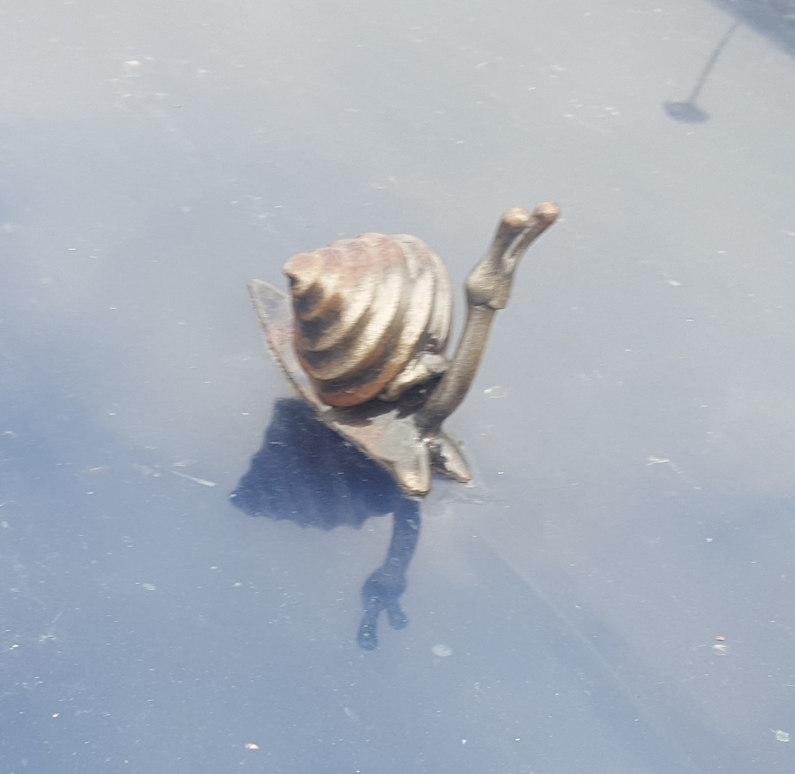 When speed is not yours - Snail, Car