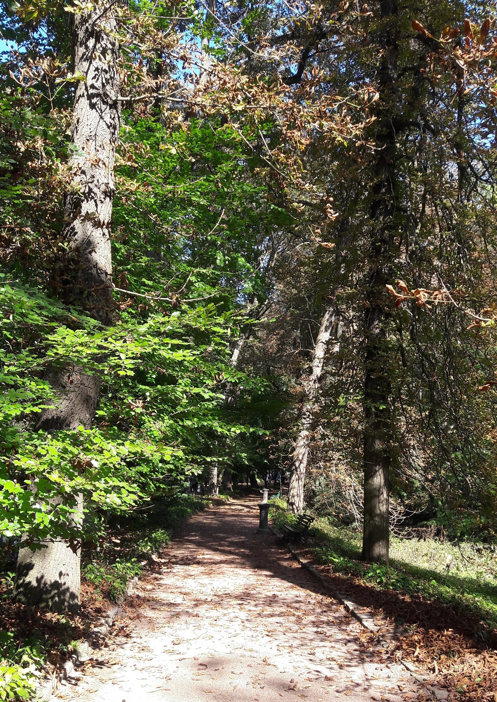 Sofievsky park in Uman. - My, Tourism, Uman, , Longpost