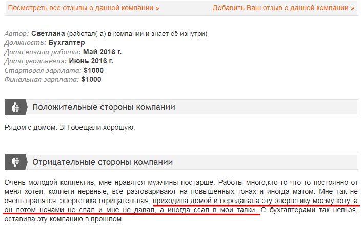 Довели бедного кота - Кот, Ссыт, Не там где надо, Отзыв о работе, Работа, Юмор, Вакансии, Мочеиспускание