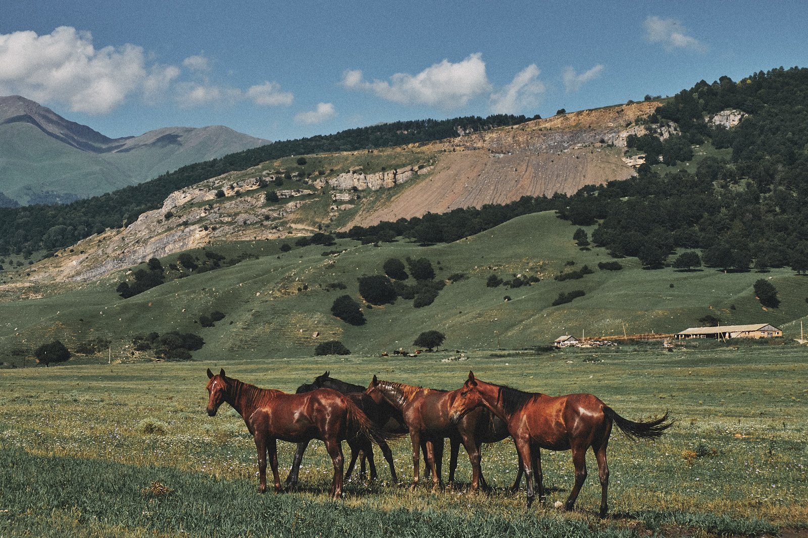 Trip to the Caucasus, part 1 - My, Caucasus, Travels, The photo, Dombay, Nature, Longpost