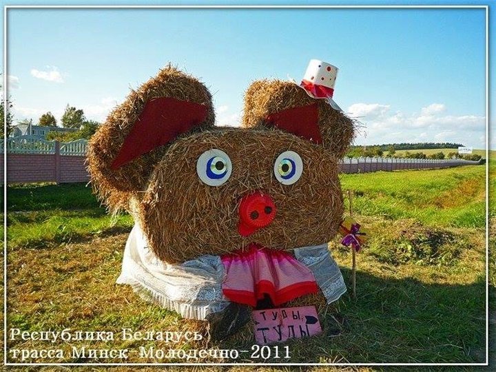 I am BELARUSIAN! - My, Longpost, Republic of Belarus, Straw, Creation, The photo