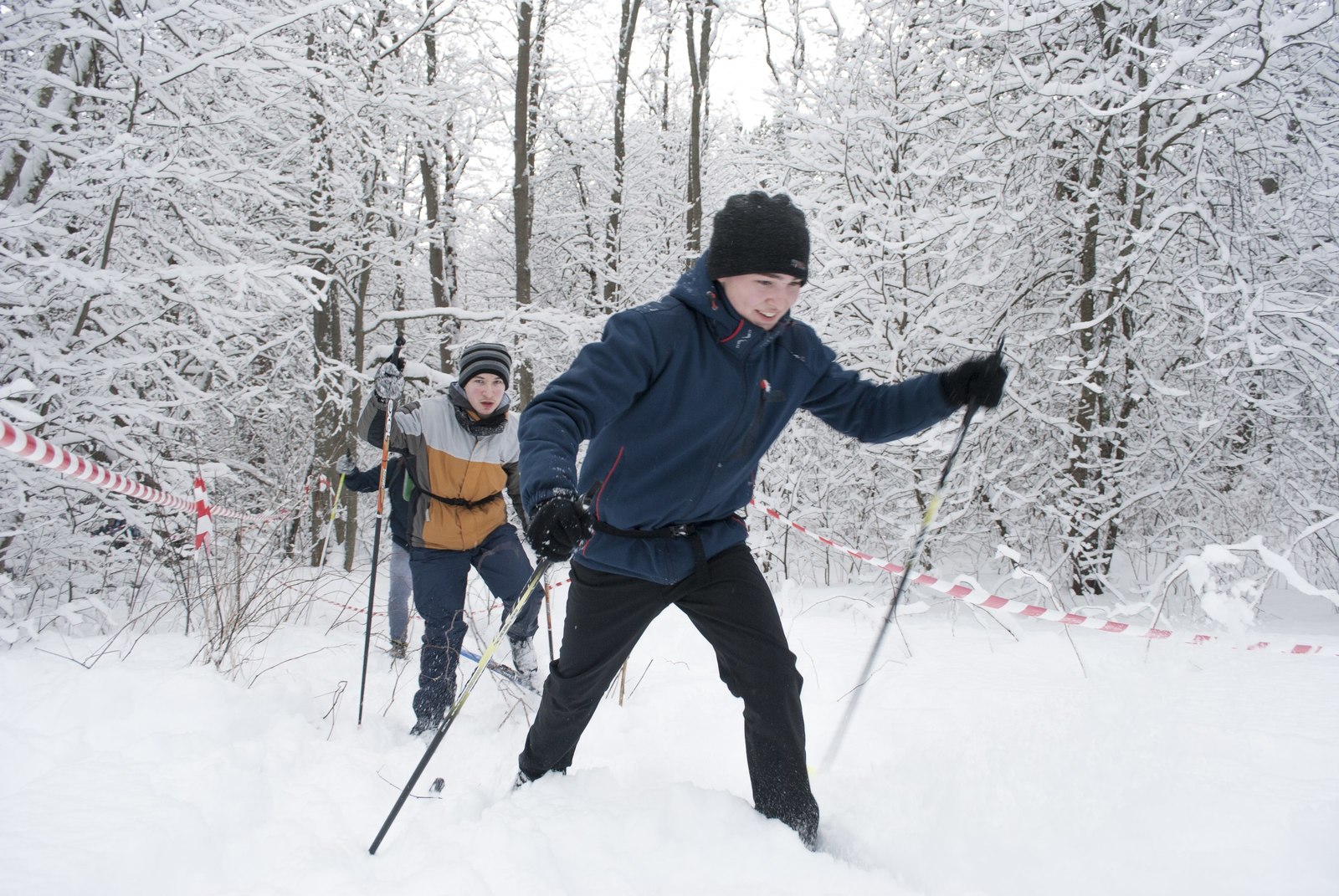 Officials said No to children's tourism in Karelia! - My, Optimization, , Politics, Tourism, Карелия, Officials, Children, Longpost