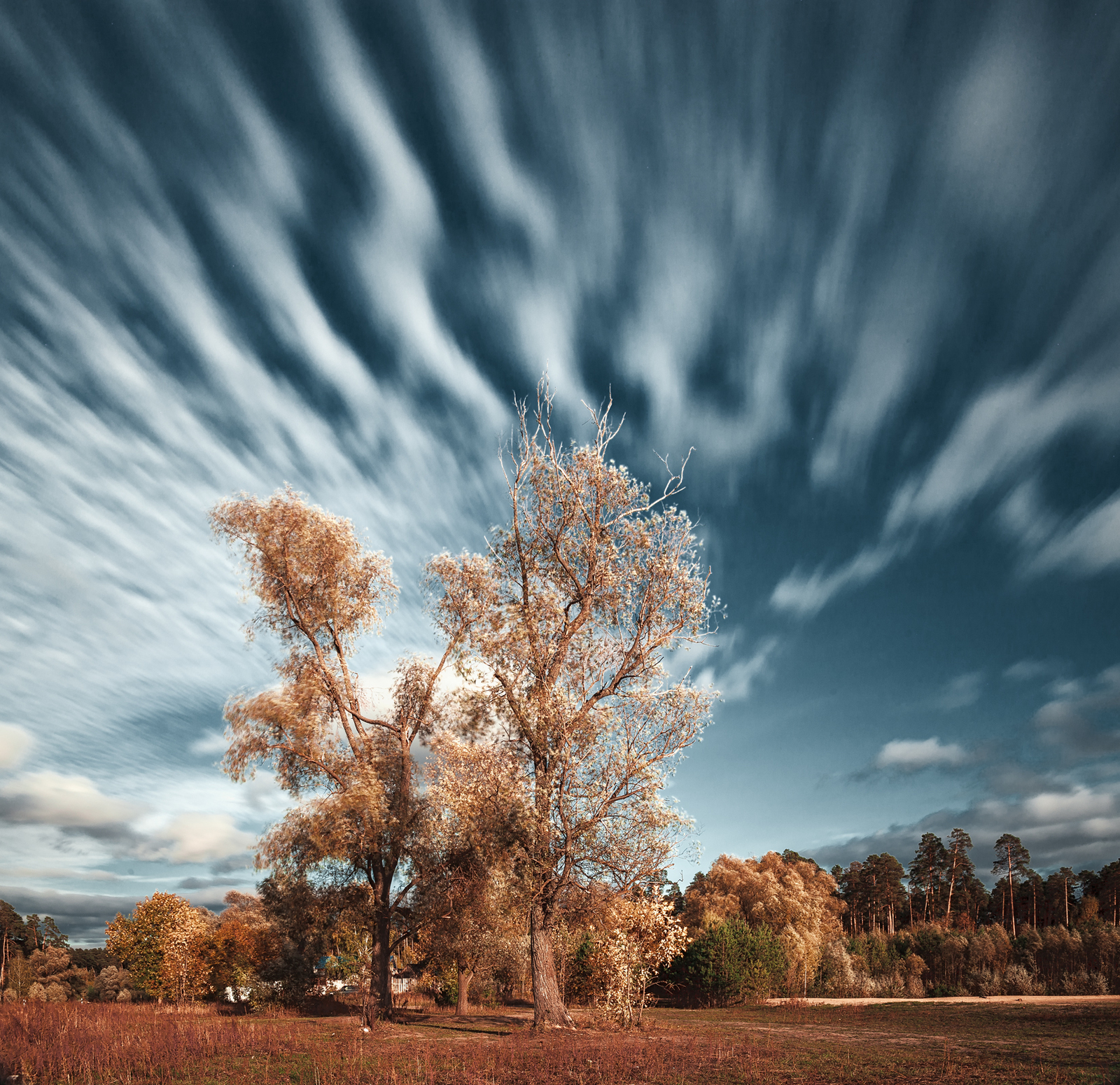 Autumn landscape - My, Autumn, Landscape, The photo, Kazan, Longpost