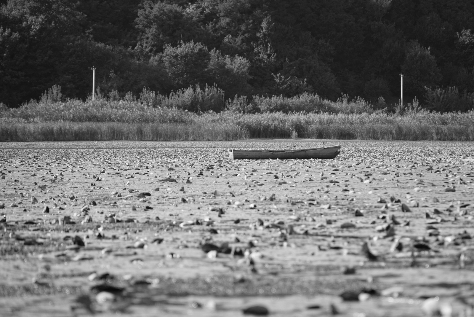 River bottom. - My, The photo, Seversky Donets, Nature