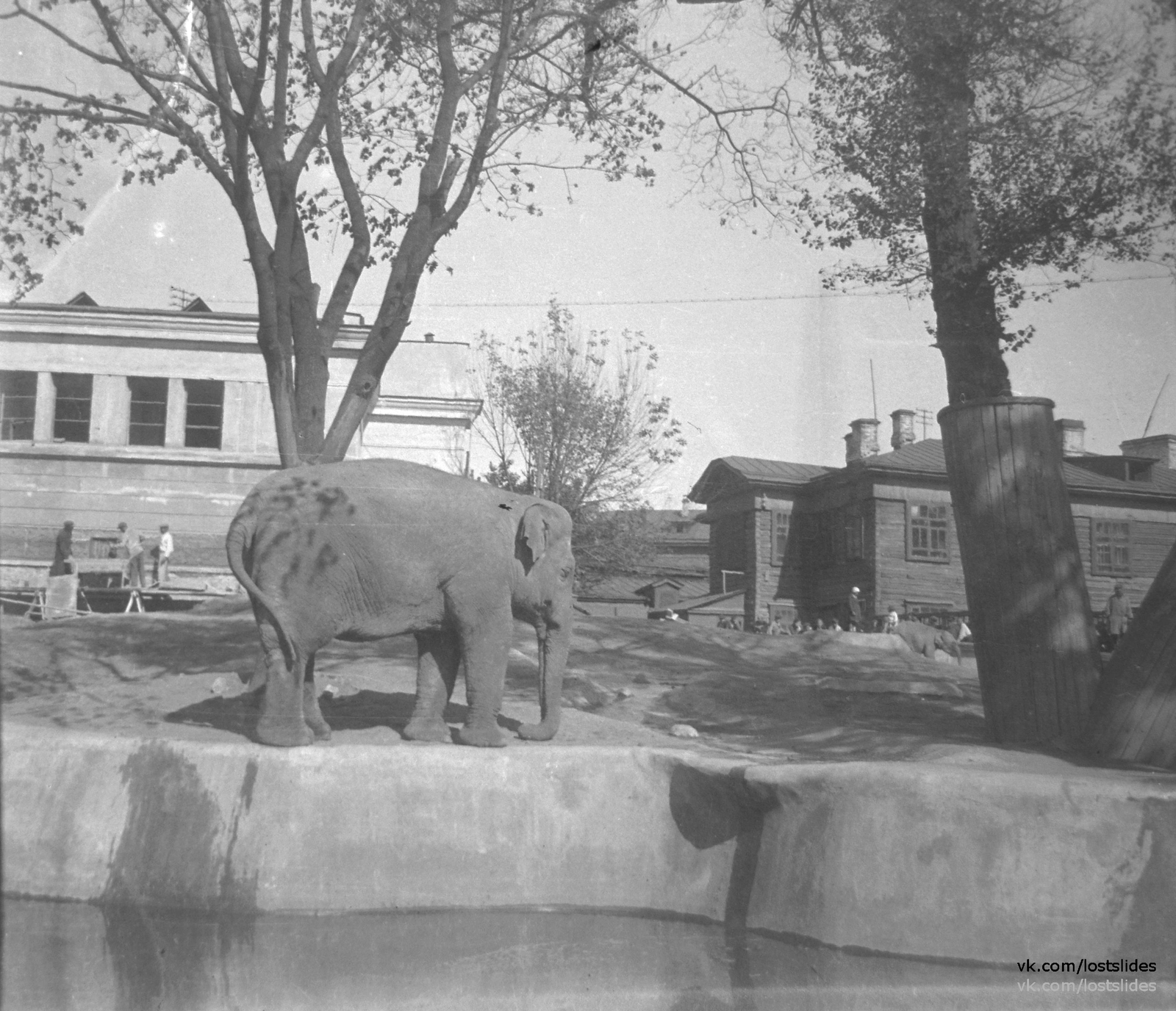 Москва, Саратов 1930-е - Моё, Фотография, Москва, Саратов, 1930-е, Lostslides, Длиннопост