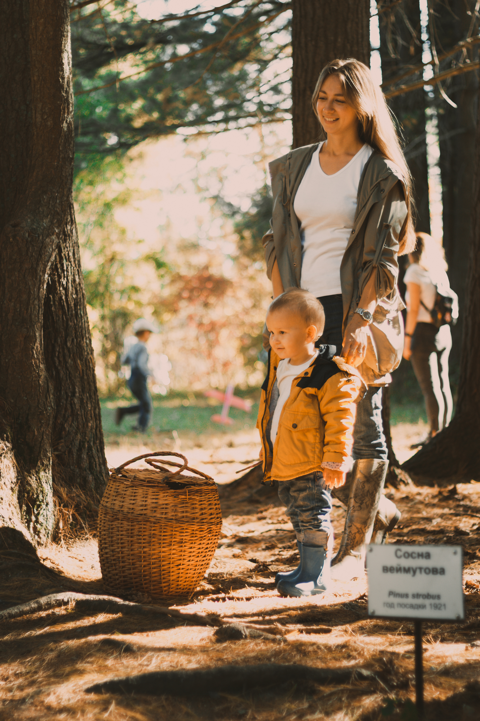 I'm starting a new path... - My, The photo, Autumn, Walk, Lightroom, Canon EOS 550D, 50mm, Color correction, Arboretum, Longpost