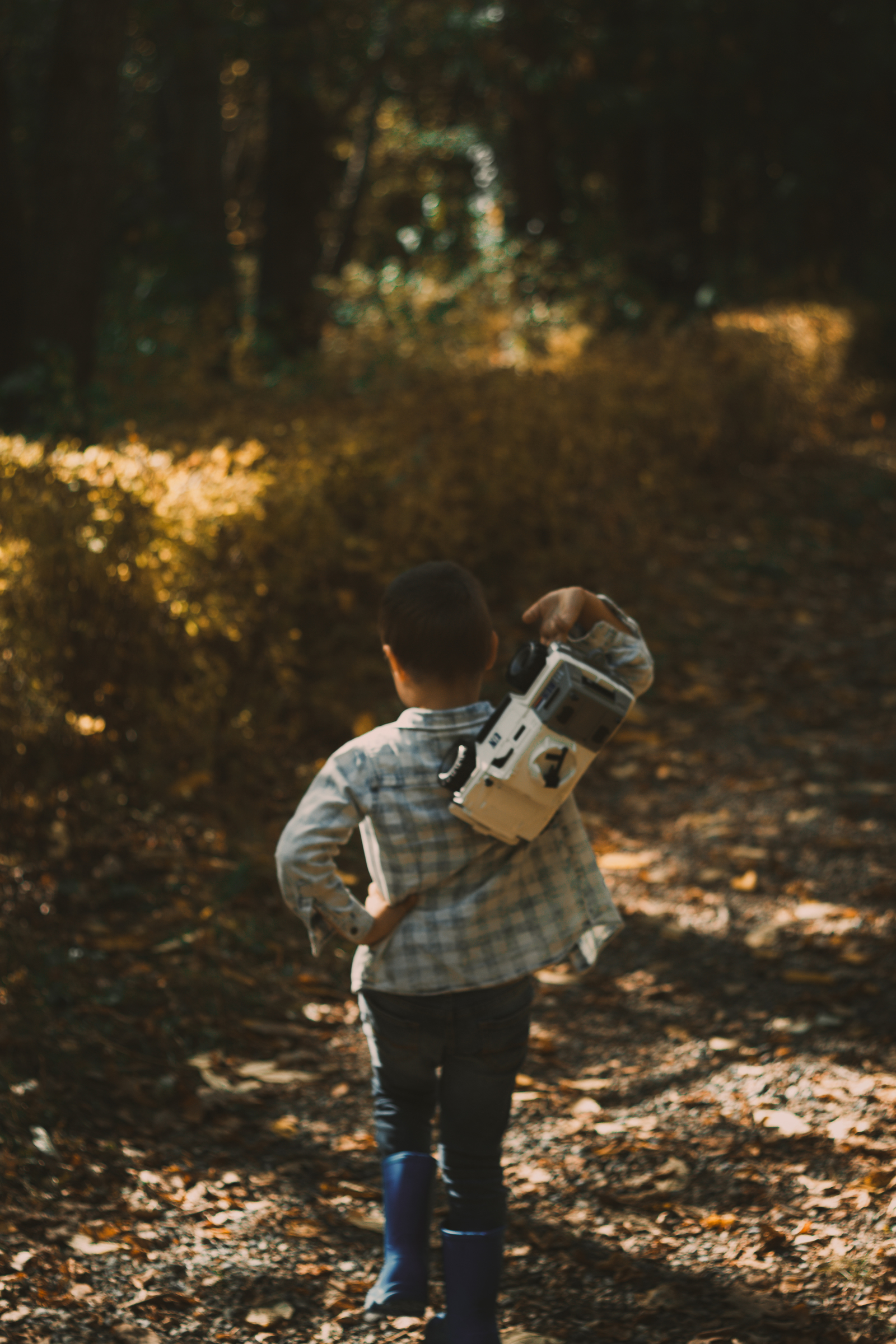 I'm starting a new path... - My, The photo, Autumn, Walk, Lightroom, Canon EOS 550D, 50mm, Color correction, Arboretum, Longpost