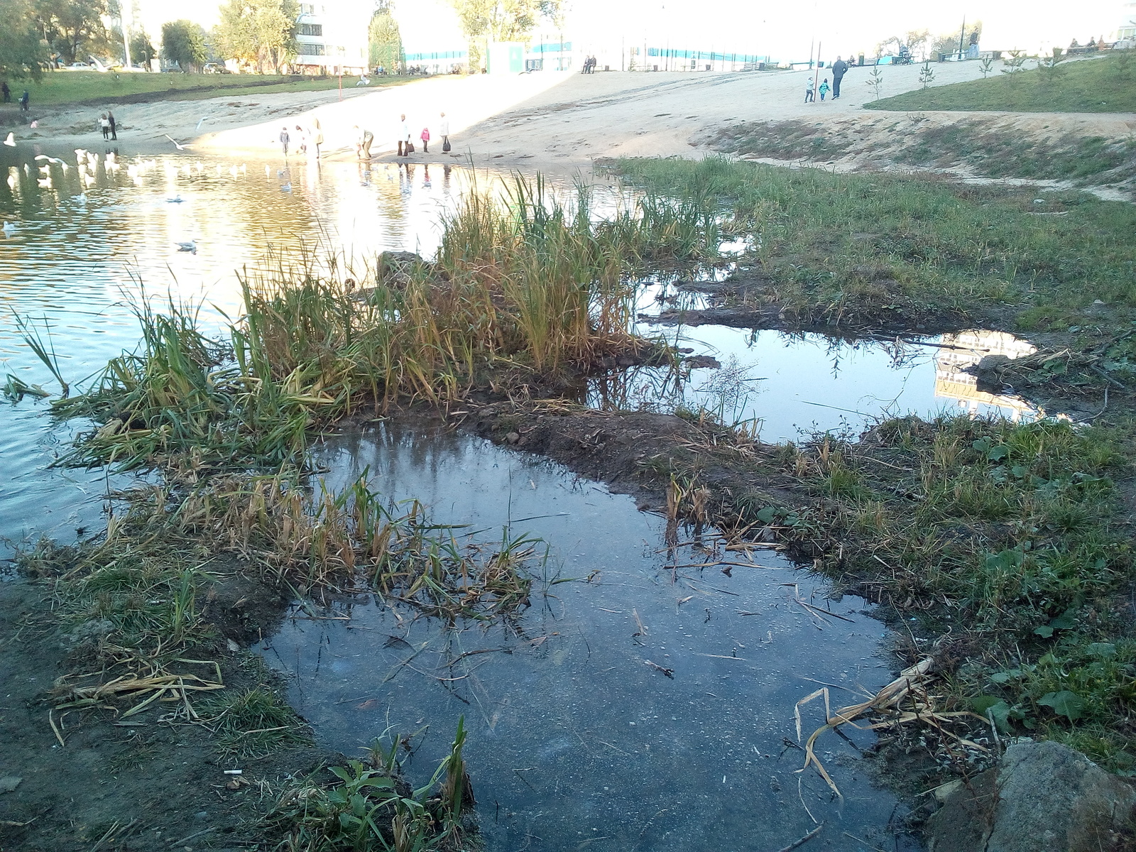 The maiden's tears pond is filled after cleaning the cleanliness. - My, Chelyabinsk, Pond, Garbage, Chistoman, Recyclable materials, Longpost